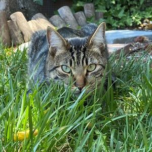 Meet your Posher, Alex